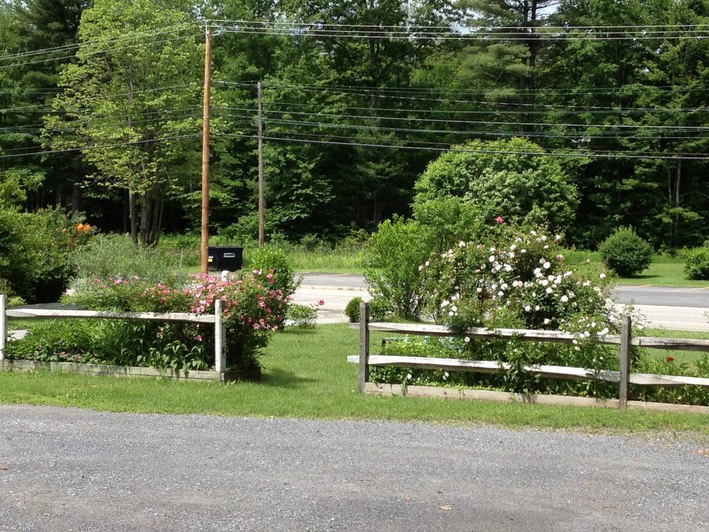 Mcgregor Inn Motel Wilton Extérieur photo